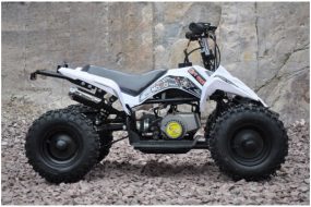 Mini moto atv 49cc 2T aro 6 Cuadrimoto Blanco