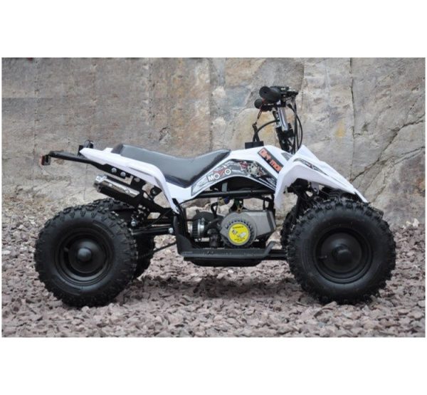 Mini moto atv 49cc 2T aro 6 Cuadrimoto Blanco